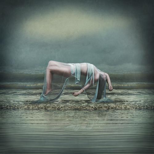 Fine-Art-Photograpy-by-Arrianne-Rijnaard-44